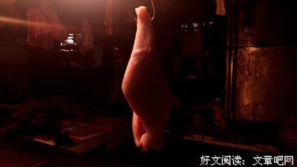 餐桌上的爱