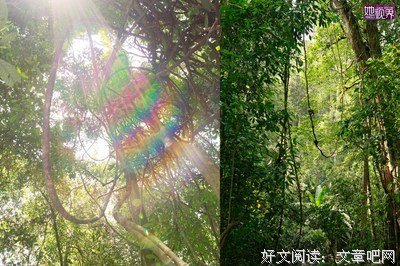 守护雨林的一家人