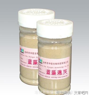 蓝藻：毁灭与兴盛