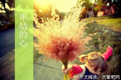 文字和花一样