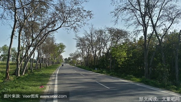 阳光洒满长路