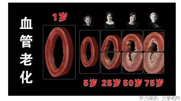 原来是这个意思