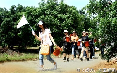 旅+游=旅游？