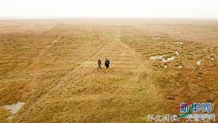  候鸟守护人