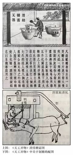  吃货改变历史