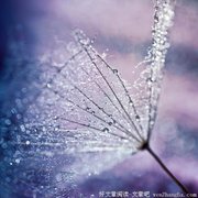 悬挂在巴塞罗那街头的“龙牌”香水广告