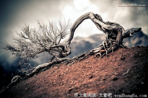 木匠活里的人情味
