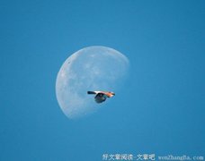 拾光