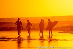 潇洒地挥一挥衣袖