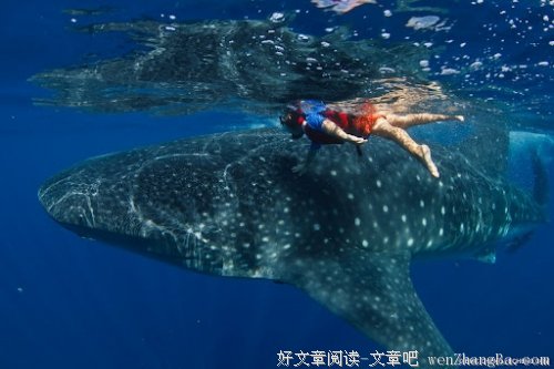 点点滴滴