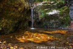 新雨过后