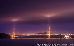 粉澹香清别有真