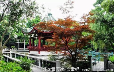  井水落花