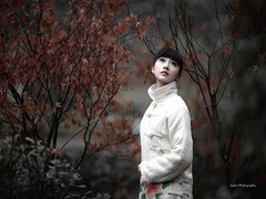 弦上之夜