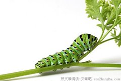 当女主人还在洗澡的时候 （人生百忌──忌早到）