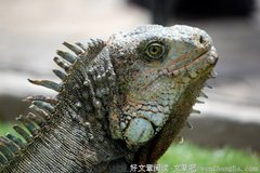 原来我适合当老师