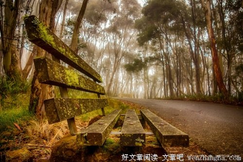对老师这个职业的热爱