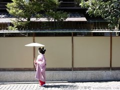爱随风飘，卿随他去