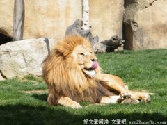 壹脉外拓，各展所长