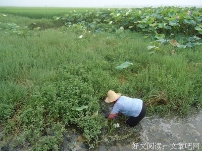 终于一切停当