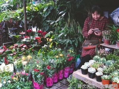 一直都是幸福