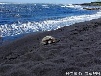 还有下次，还有梦想