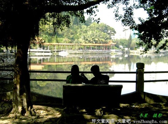 爱（一）