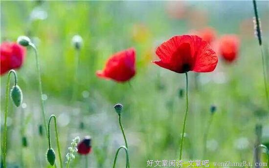 多包容他人一点，多正视自己一点