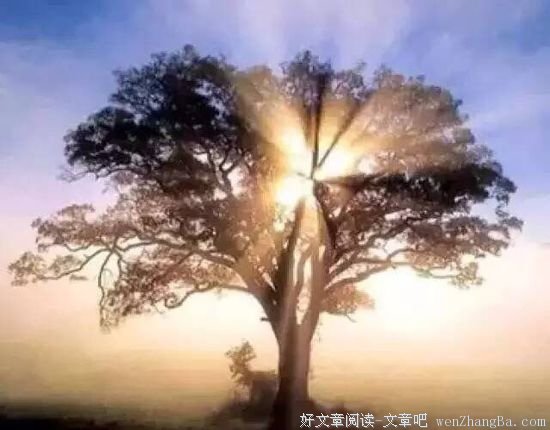 一些举止，透射出人的品性
