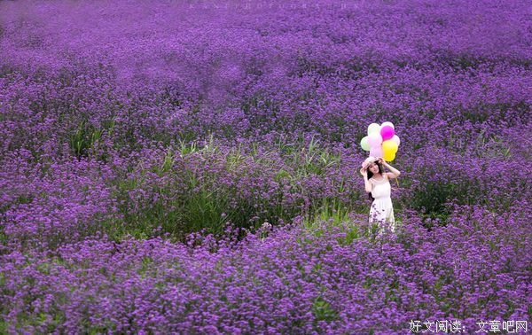 行走在春日