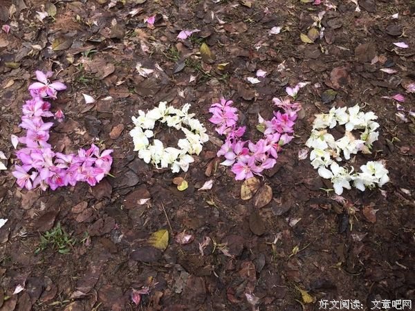 生活处处有诗意，时时有美好