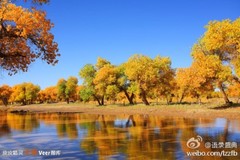 幸福无关比较