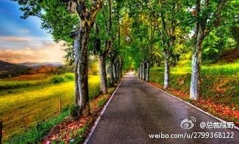 人生天地间 忽如远行客