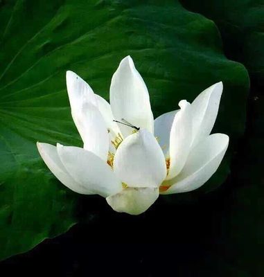 感恩一路帮助过我的所有人