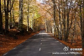 丈 量