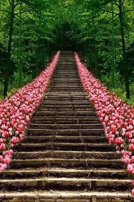 我不会为你的孩子投票
