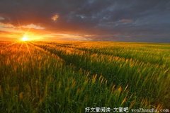 在色彩中的汗水