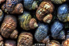 一起走过的日子