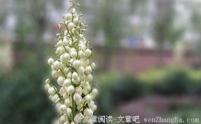 有些关爱不用非要说出口