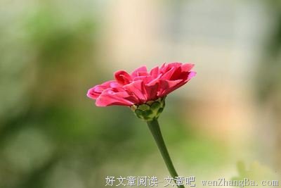 你过得不好,不是因为那些过得比你好的人