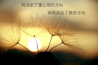 中国人的思维