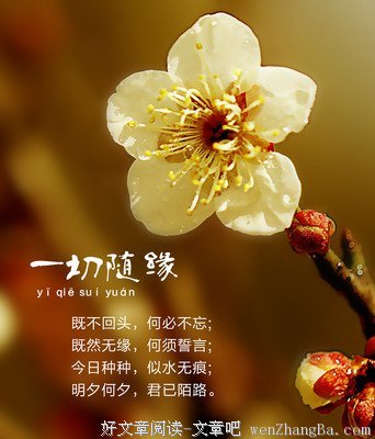随缘