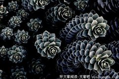 牵挂