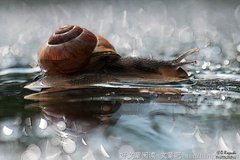 一生最爱