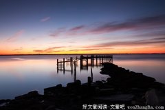 大老虎与小豺狗