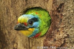 不是做梦
