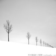 情书