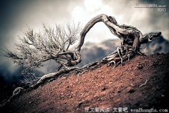 悲忿