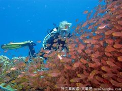 麻木不仁