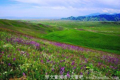 天山牧场